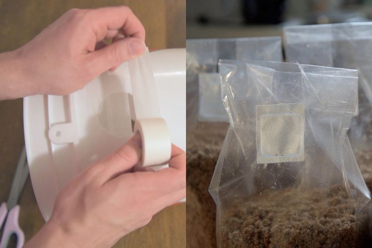 On the left side, a man applies tape to a bucket with a hole in it. On the right side sits a few mushroom grow bags filled with a wooden substrate.