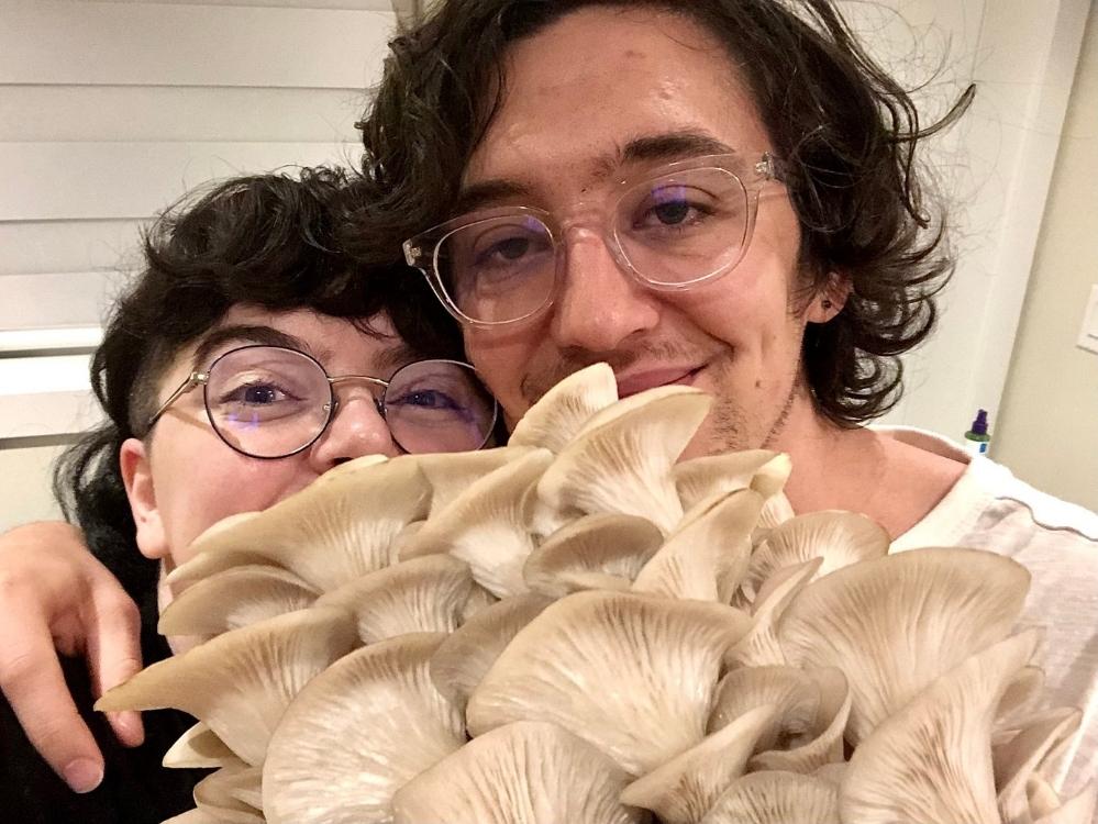 A white woman with glasses and dark hair and a white man with glasses and dark hair hold up a cluster of oyster mushrooms.