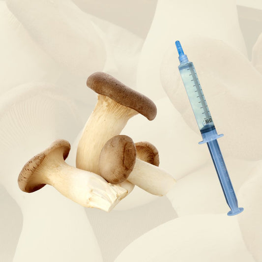 Four king oyster mushrooms beside a king oyster liquid culture syringe.