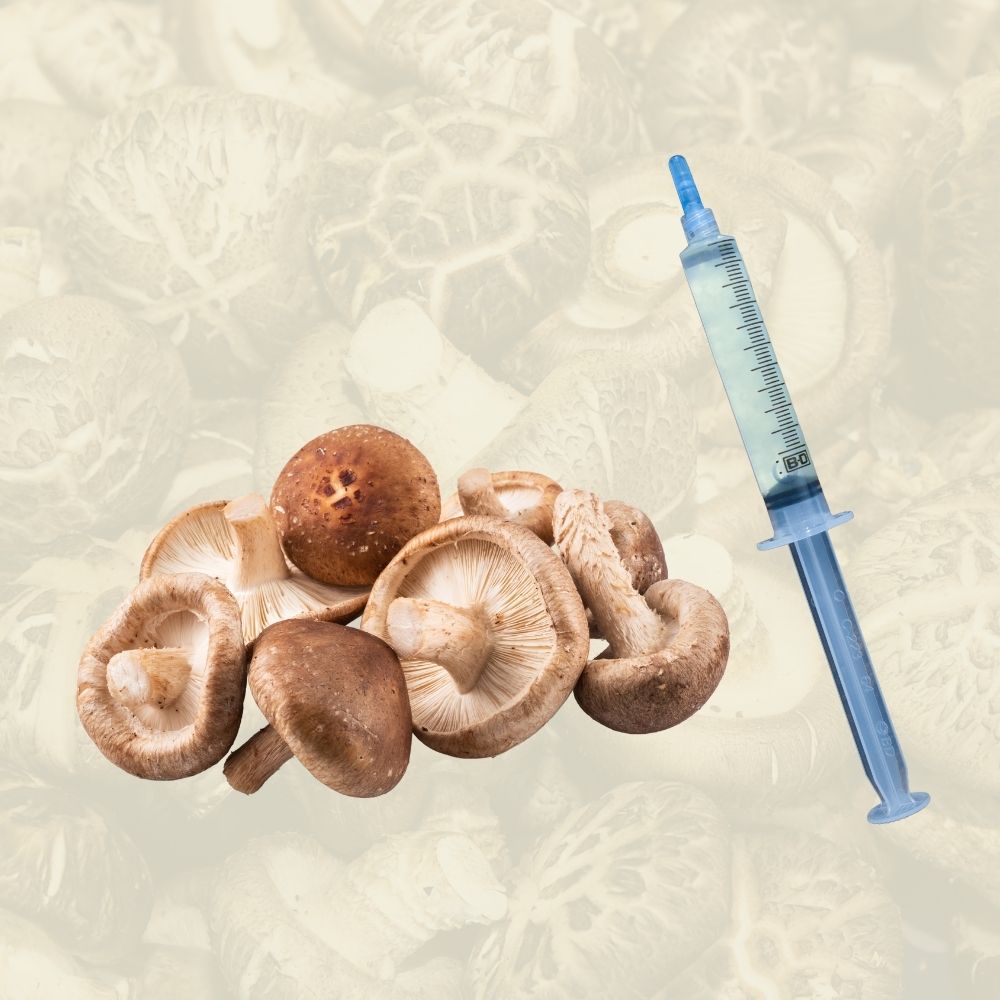 Shiitake mushrooms beside a liquid culture syringe.