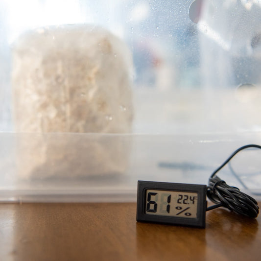 A plastic hygrometer in front of a mushroom fruiting block in a plastic tent.