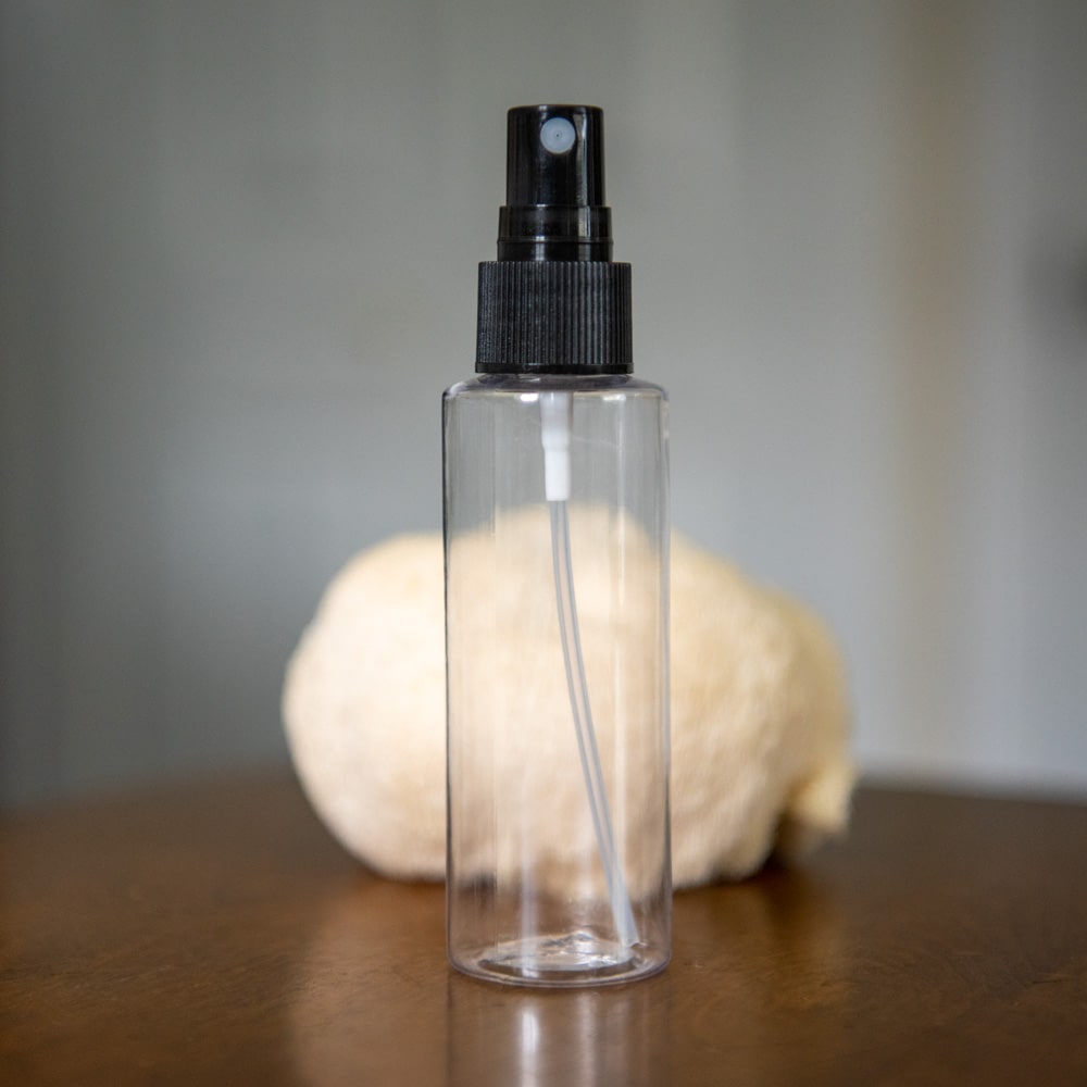 A small water mister with a black cap sits in front of a lion's mane mushroom on a wooden table.