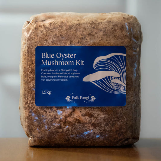 A plastic block containing hardwood substrate. On the block is a large blue sticker that reads "Blue Oyster Mushroom Kit."
