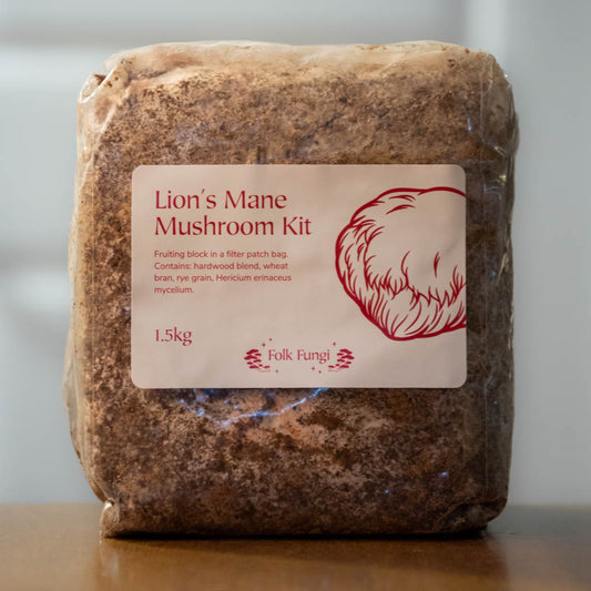 A block of lion's mane mushroom spawn in a plastic bag. There's a label on the bag that reads "Lion's Mane Mushroom Kit."