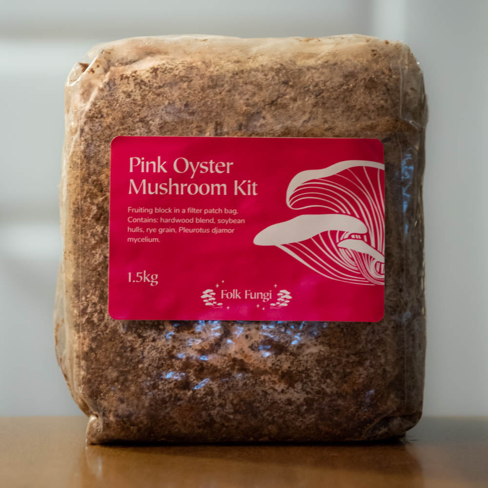 A plastic bag filled with wood and mushroom spawn. A pink sticker in the middle of the bag reads "Pink Oyster Mushroom Kit."